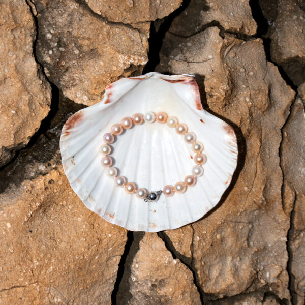 8-9mm AA+ Multicolour Freshwater Bracelet