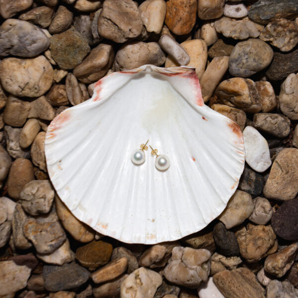 7-9mm AA+ White Freshwater Pearl Stud Earrings