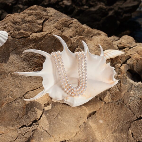 Bridal Silver Collection