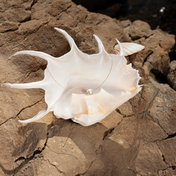 10-13mm AA+ White Freshwater Pearl Pendant with Chain