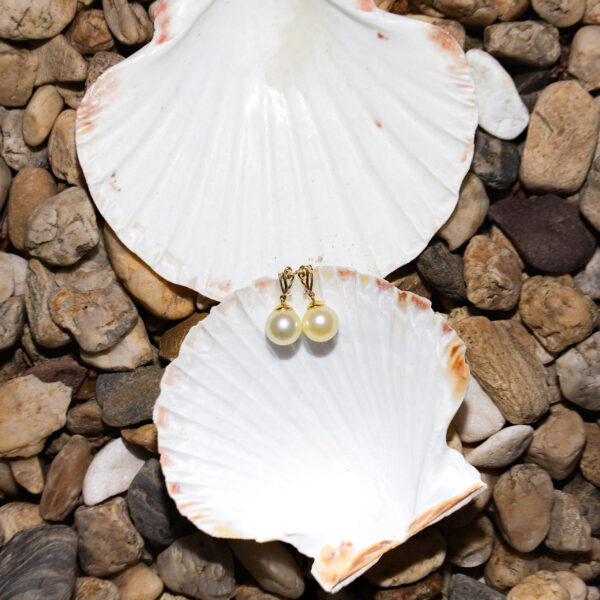 11mm AA+ Gold South Sea Pearl and Zircon Earrings