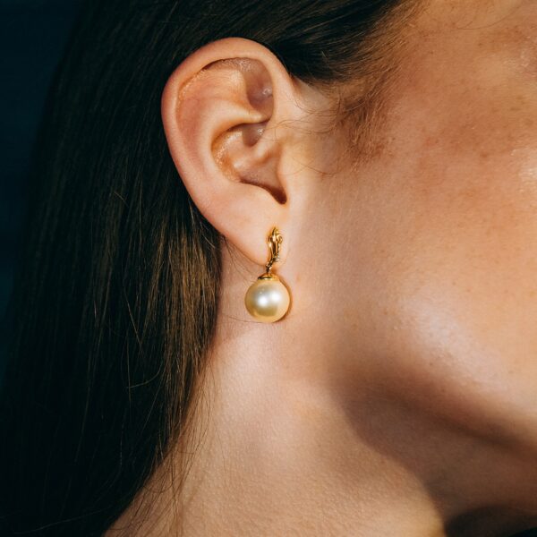 11mm AA+ Gold South Sea Pearl and Zircon Earrings