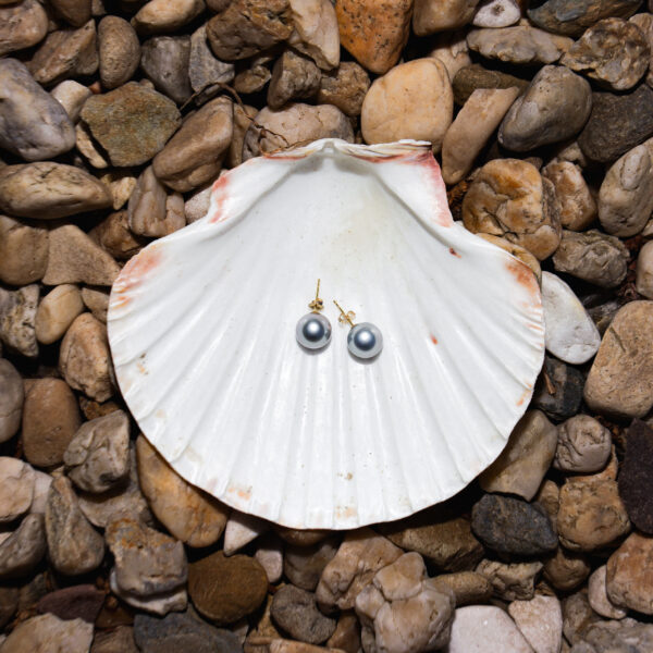 11mm AAA Light Blue South Sea Pearl Stud Earrings