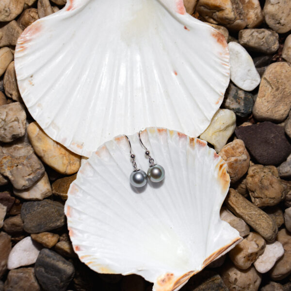 10.5mm AA+ Tahitian Pearl Wire Dangle Earrings