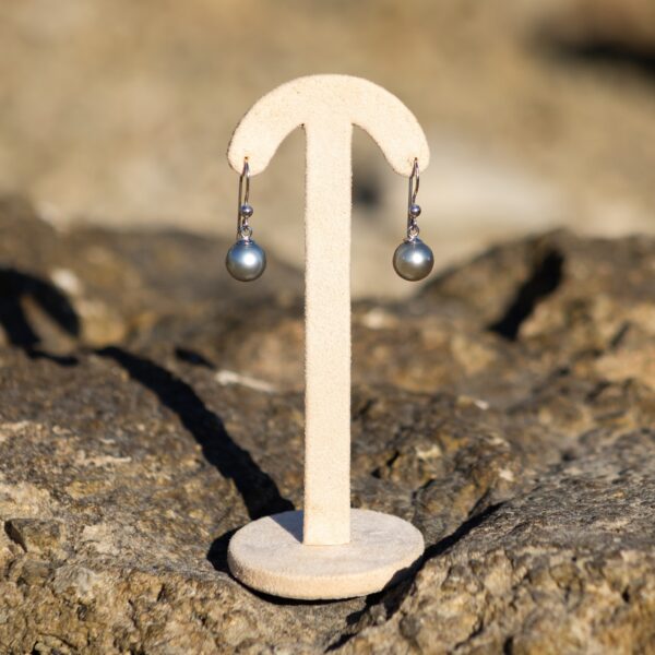 10.5mm AA+ Tahitian Pearl Wire Dangle Earrings