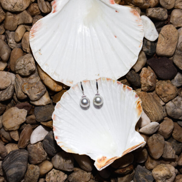 11.5mm AA+ White South Sea Pearl & Zircon Dangle Wire Earrings